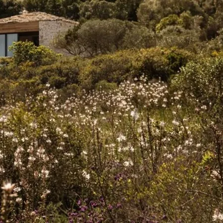Hotel Version Maquis Santa Manza