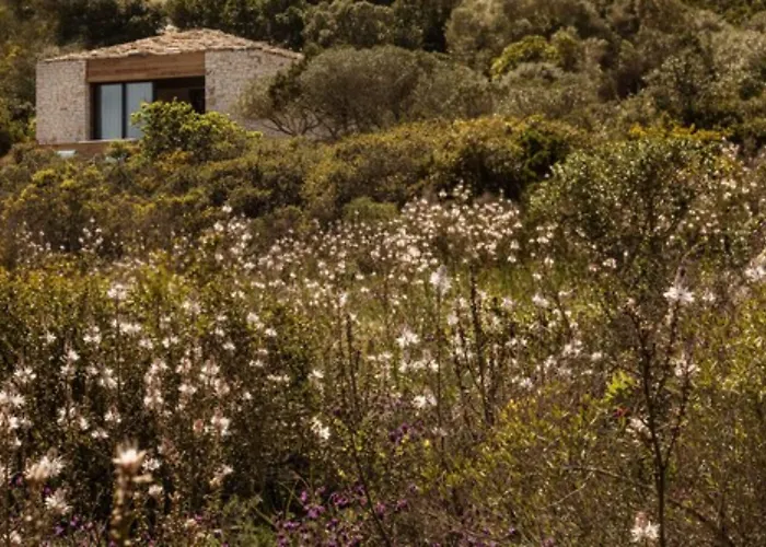 维森马奎斯圣马扎酒店 酒店